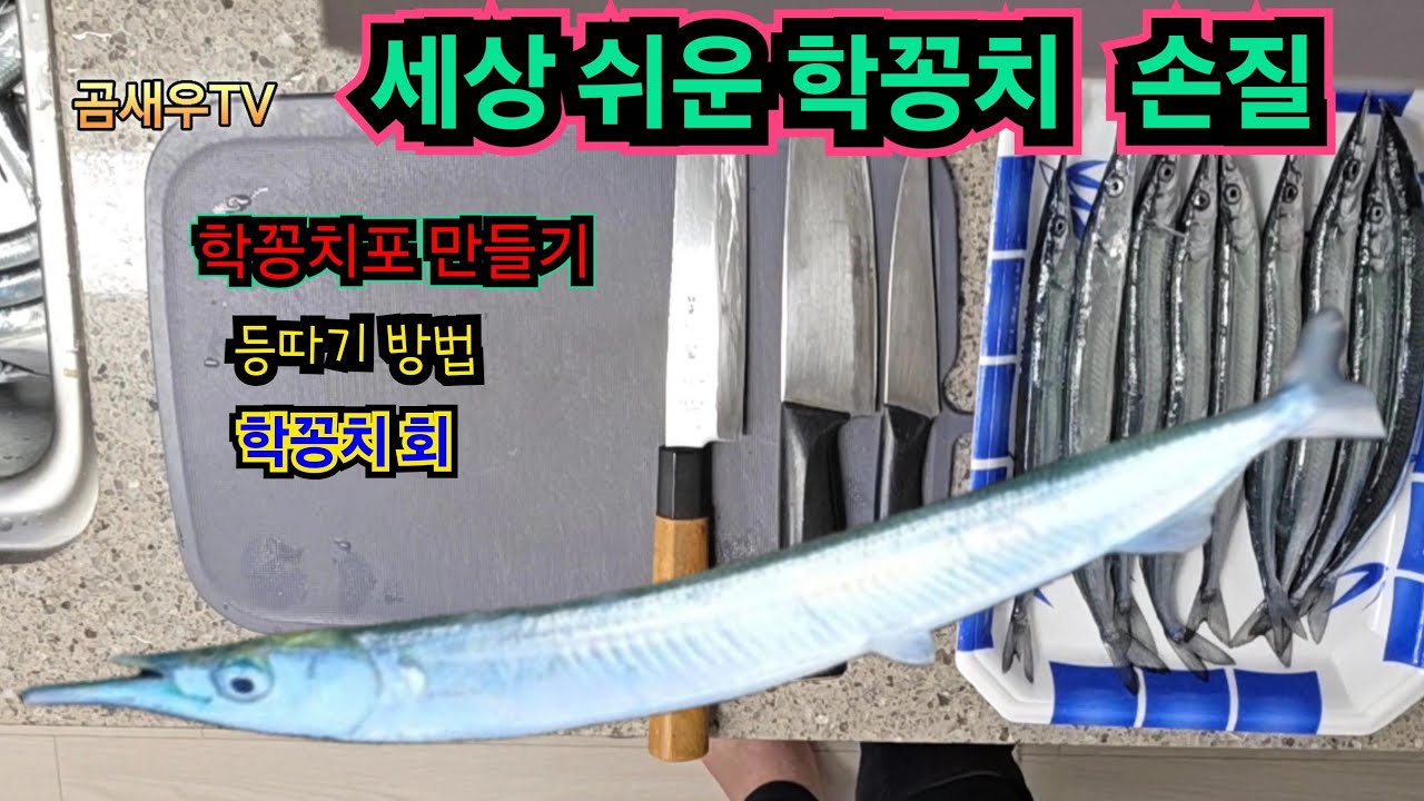 학꽁치 손질 이렇게 하세요. 세상편한 학꽁치 손질방법 공개.학꽁치포 양념 황금비율과 특급비법 꿀팁까지.학꽁치 회썰기와 무침회 만들기 간단 방법