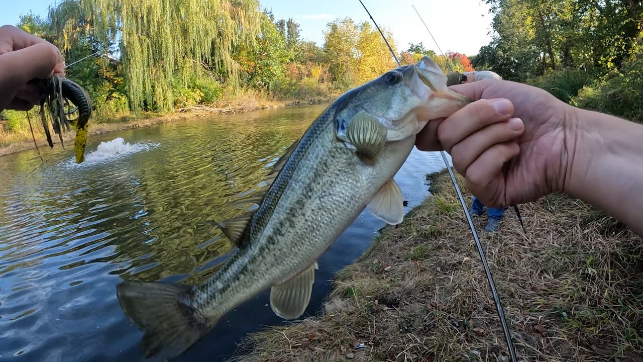 Textbook Suburban Pond Hopping