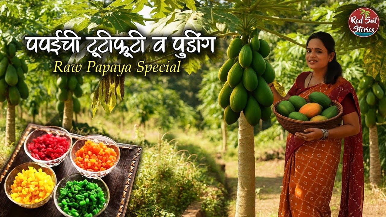 Papaya tutti-frutti & Pudding | कच्च्या पपईचा तक्कु  | पपई विशेष| Village Cooking | Red Soil Stories