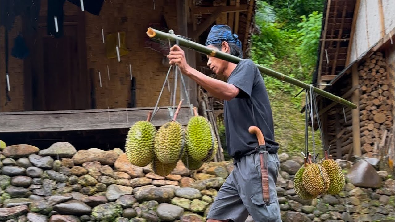 MUSIM DURIAN BADUY TELAH TIBA ‼️
