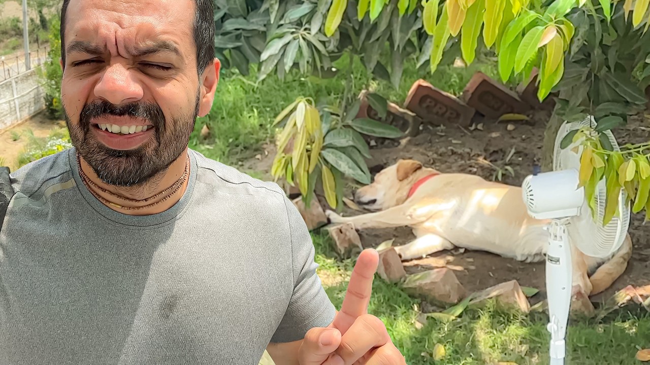 Yeh Nahi Sudherega Ab Farm Jaake !!