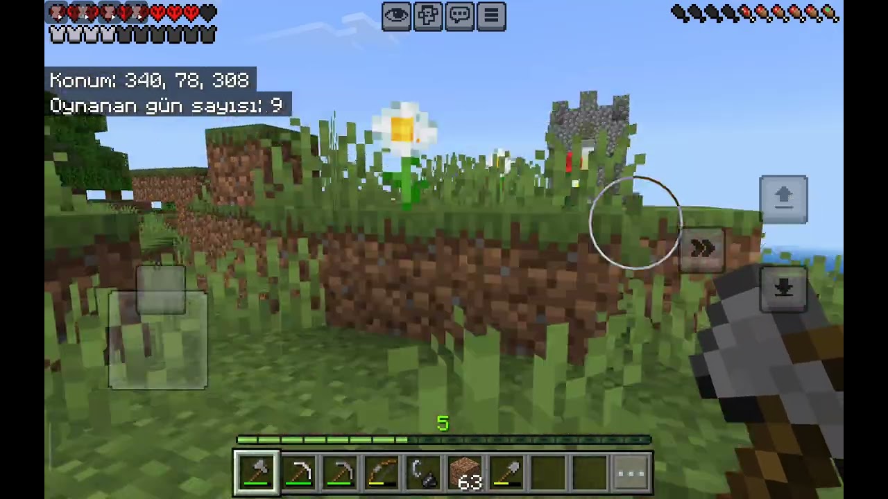 Minecraft 100 hayatta kalmaya çalıştım 