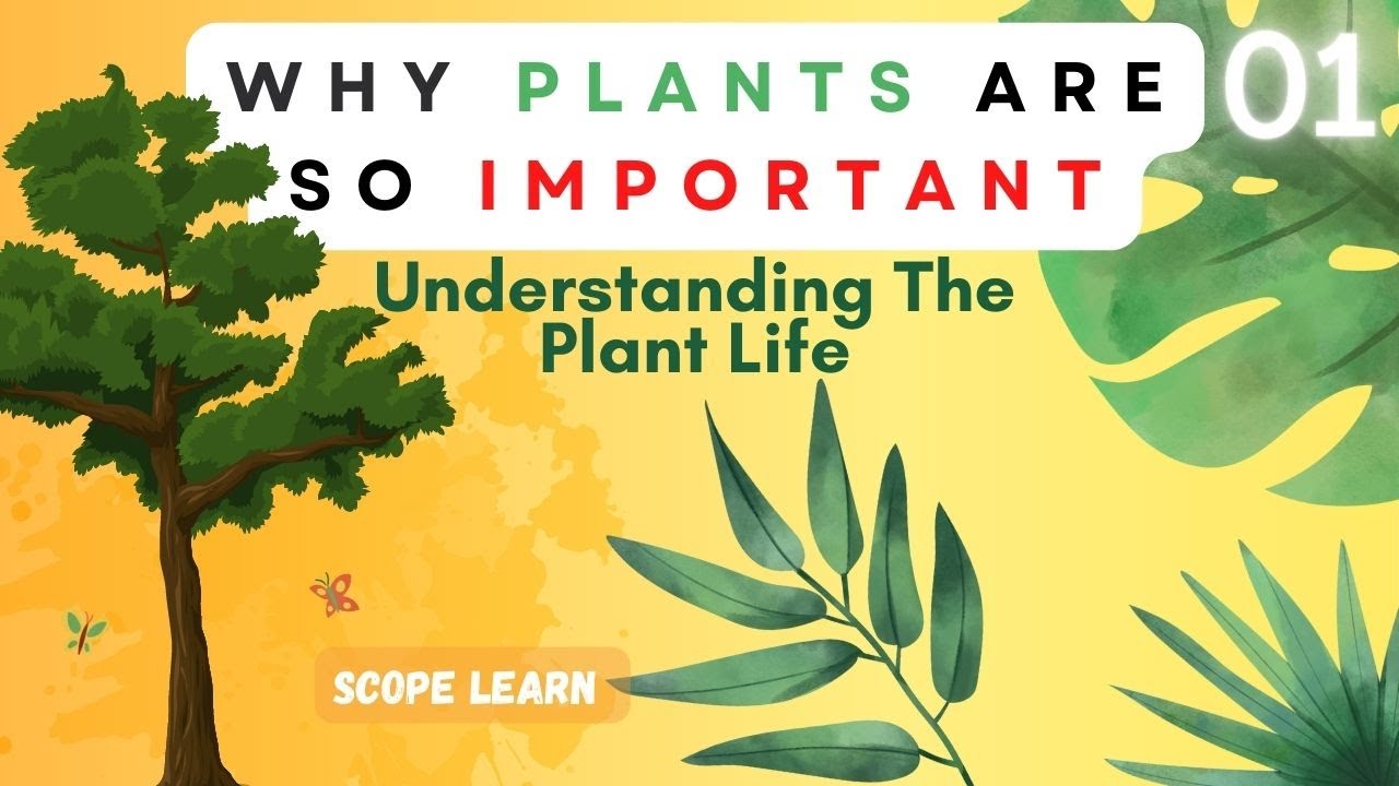 Understanding The Plant Life // Why plants are important - Scope Learn - 0001