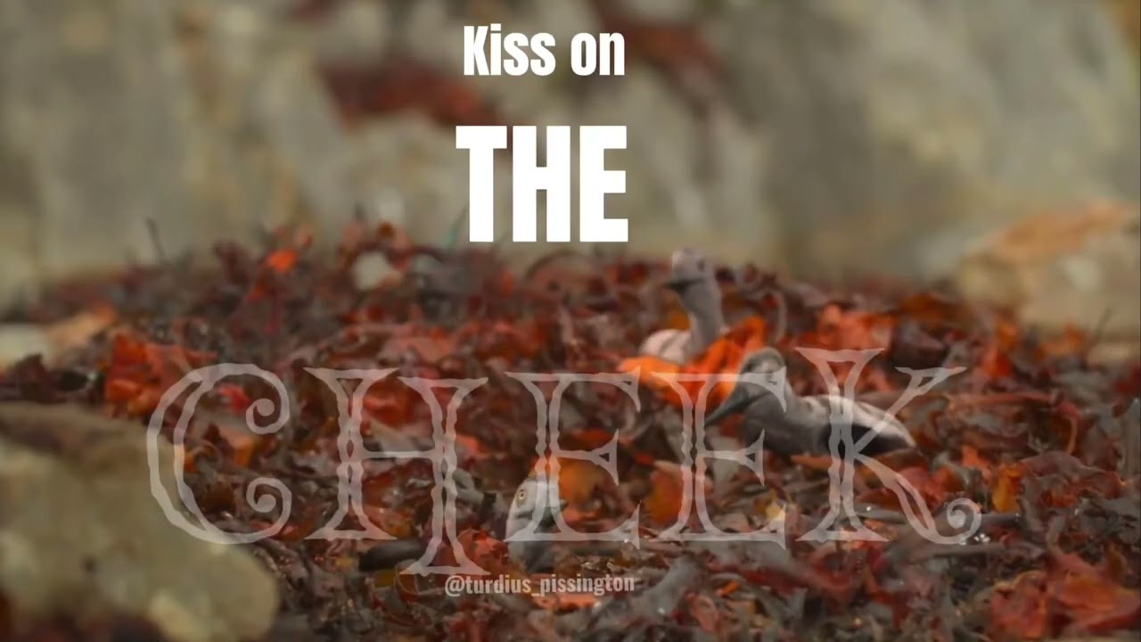 Dancing in my Room—347aiden #dinosaur #edit #paleontology 