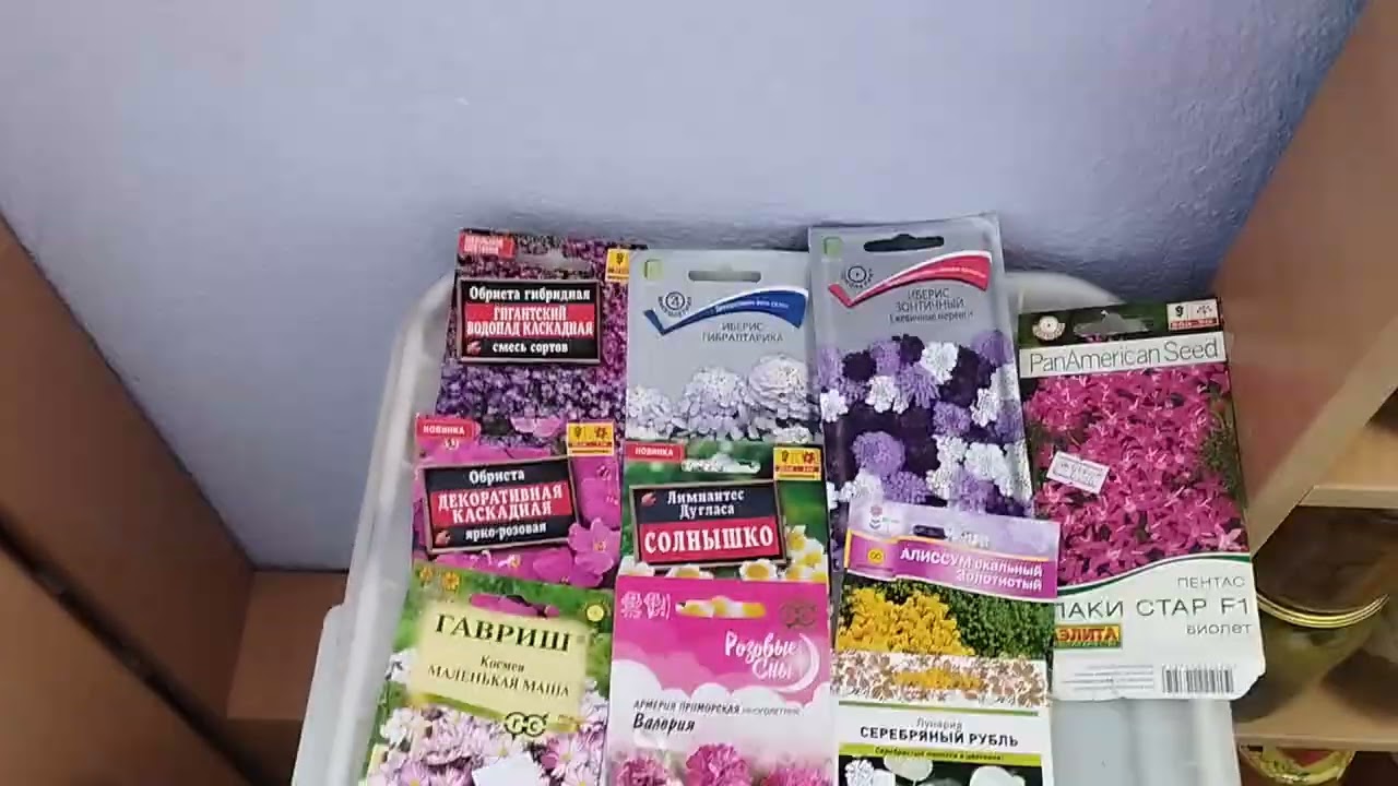 Жители балкона в феврале