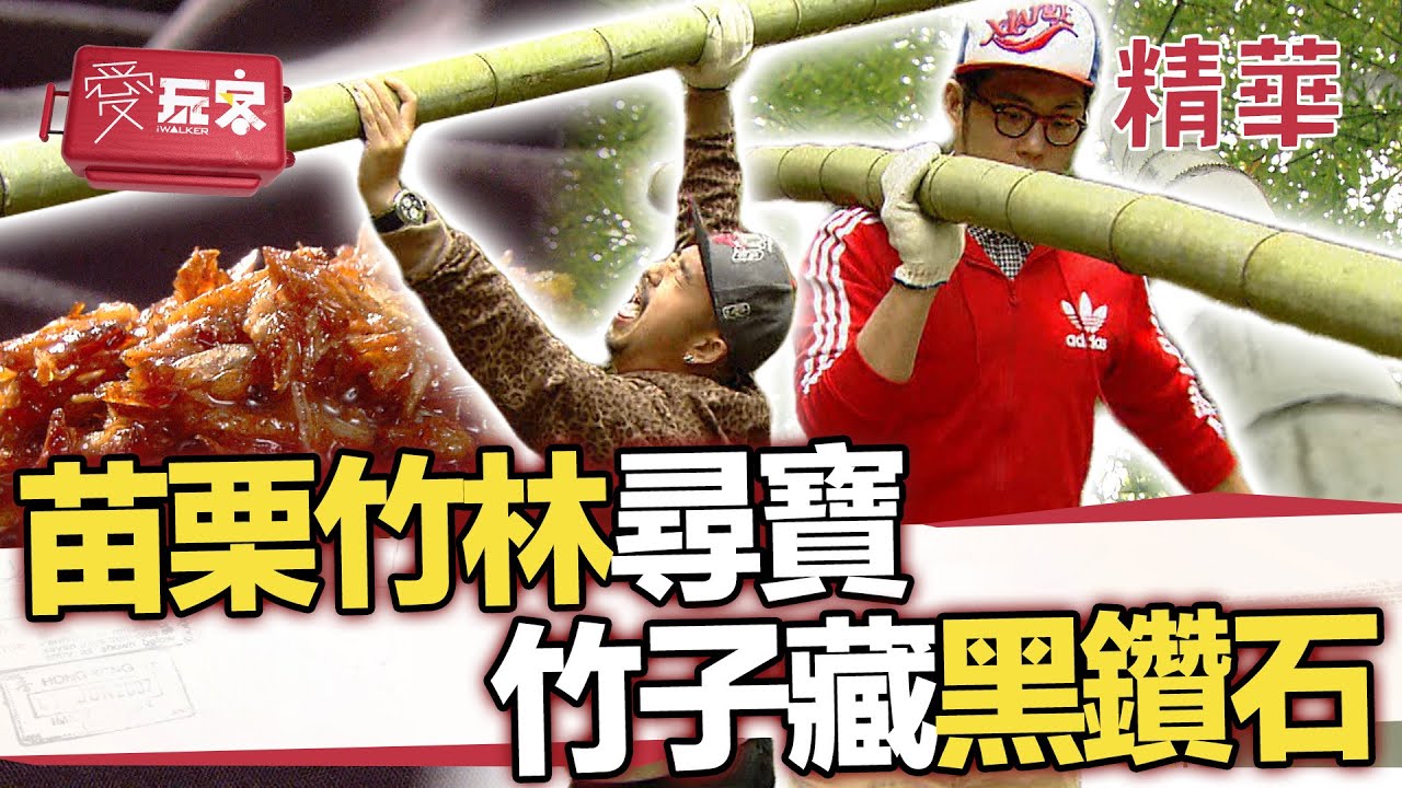 走進苗栗竹林尋寶 黑鑽石就藏在這竹子【週一愛玩客】自由發揮精華｜20120430
