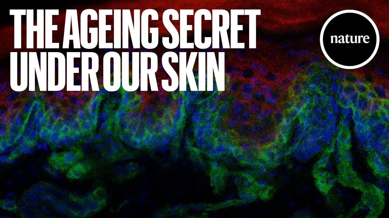 Pigs, grizzlies and humans share this one skincare secret!