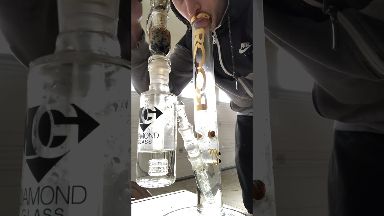 18 inch 50x5 Roor 24 Karat Gold Straight Tube with Diamond Glass ash catcher & Roor diffy downstem