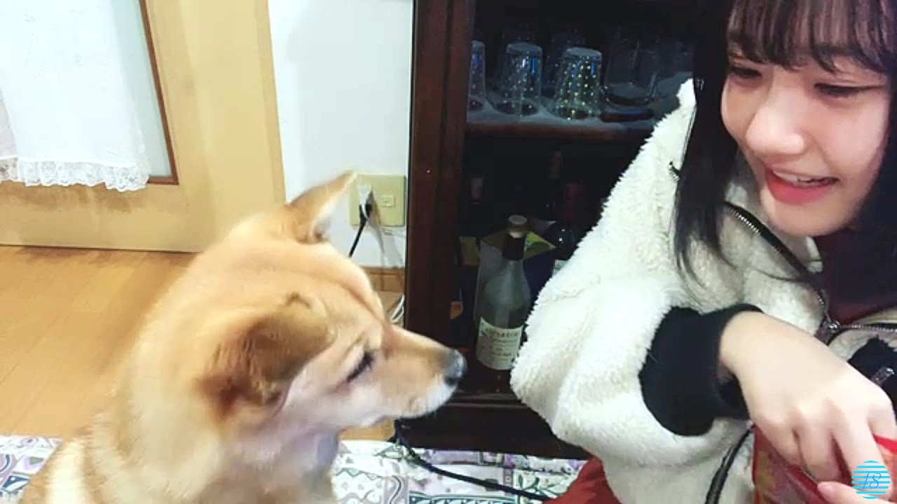2022/01/01 瀧野由美子 ① SHOWROOM【弟くんと年越し配信】