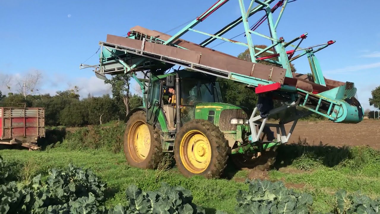 Récolte de brocoli  dans le 22 😍