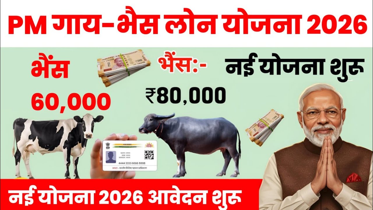 Pashupalan loan kaise le | pashupalan loan kaise lete hain 2026 | pashupalan loan apply online 2026
