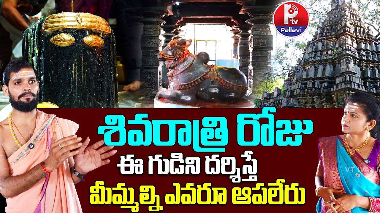 శివరాత్రి రోజు ఈ గుడిని దర్శిస్తే..| Maha Shivratri 2026 | Nalgonda Chaya Someshwara Temple | Ptv