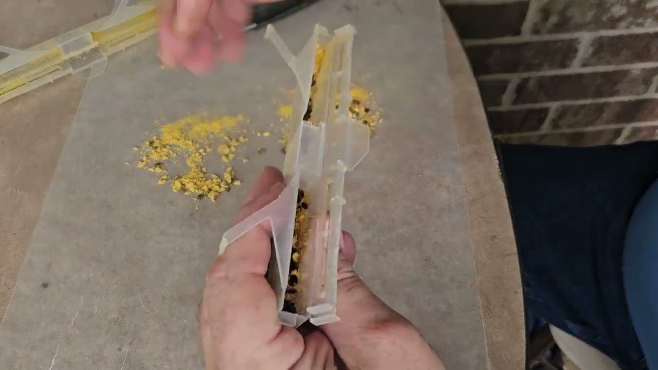 Hive Beetle Treatment that Works! Results!