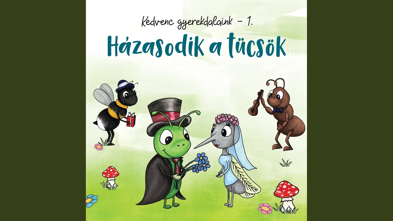 Erdő, erdő, erdő