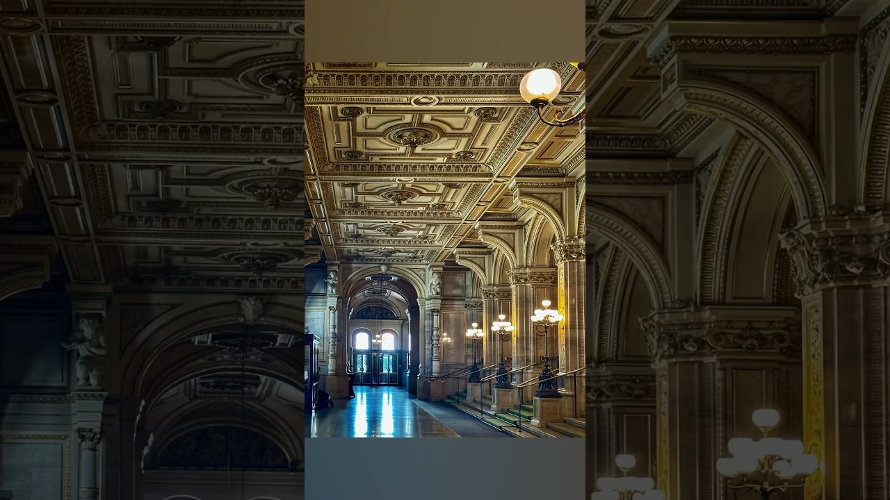 #wienerstaatsoper #viennastateopera #vienna #shantanudey