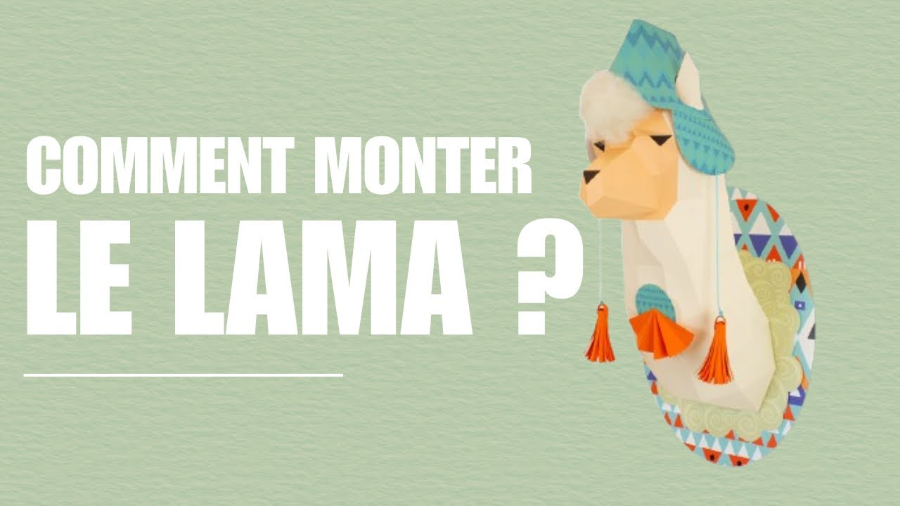 Montage du lama