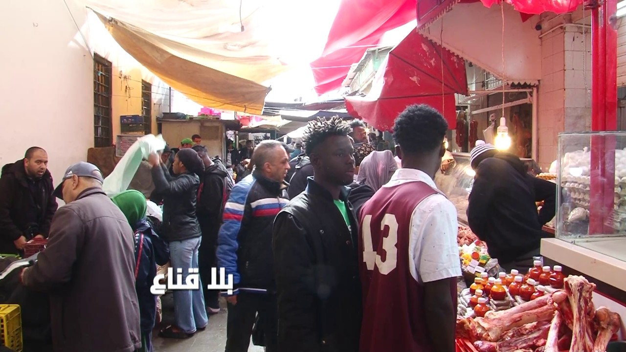 توانسة وافارقة يتزاحمون على الدجاج؟واللحم لمن استطاع اليه سبيلا؟!العلوش ب60دوالزوالي يشري في العظام؟