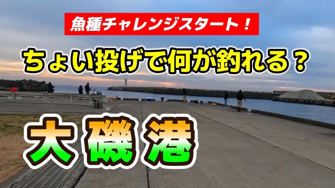 #009 大磯港でちょい投げ 【神奈川県】