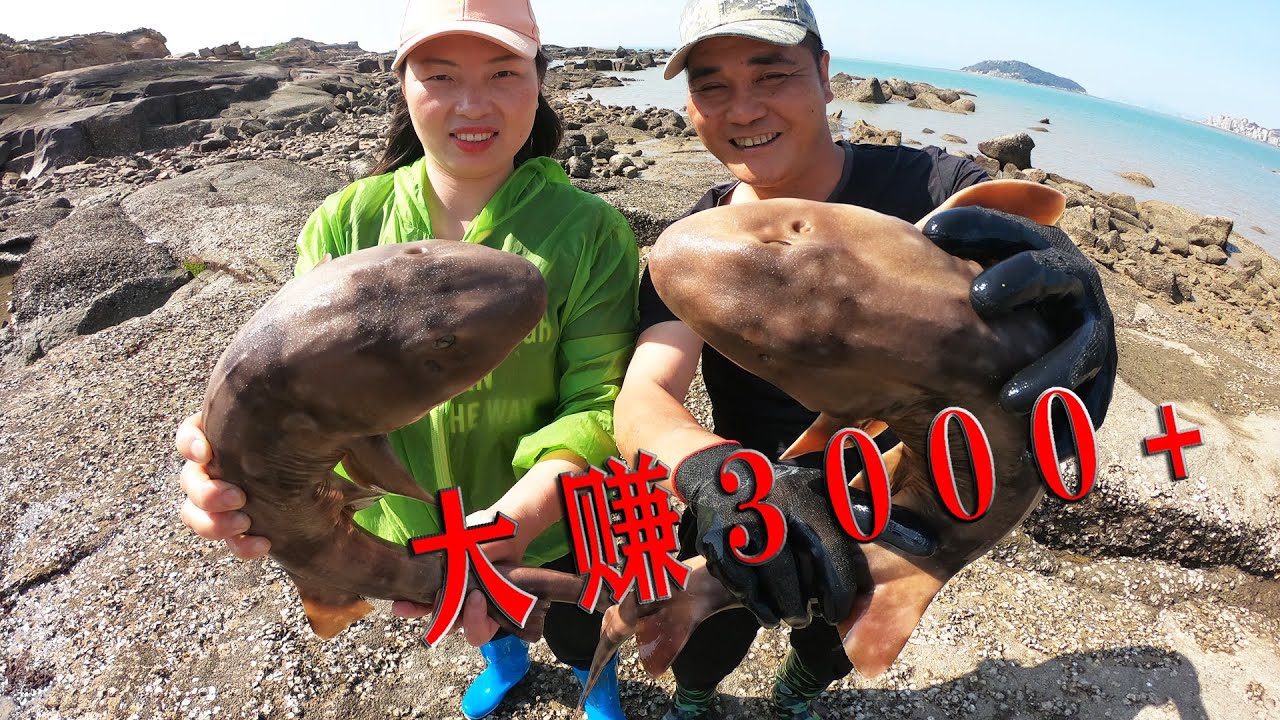 300平巨无霸坑撒60斤猪血，连抓几条1000多的值钱猛货，大赚3000+