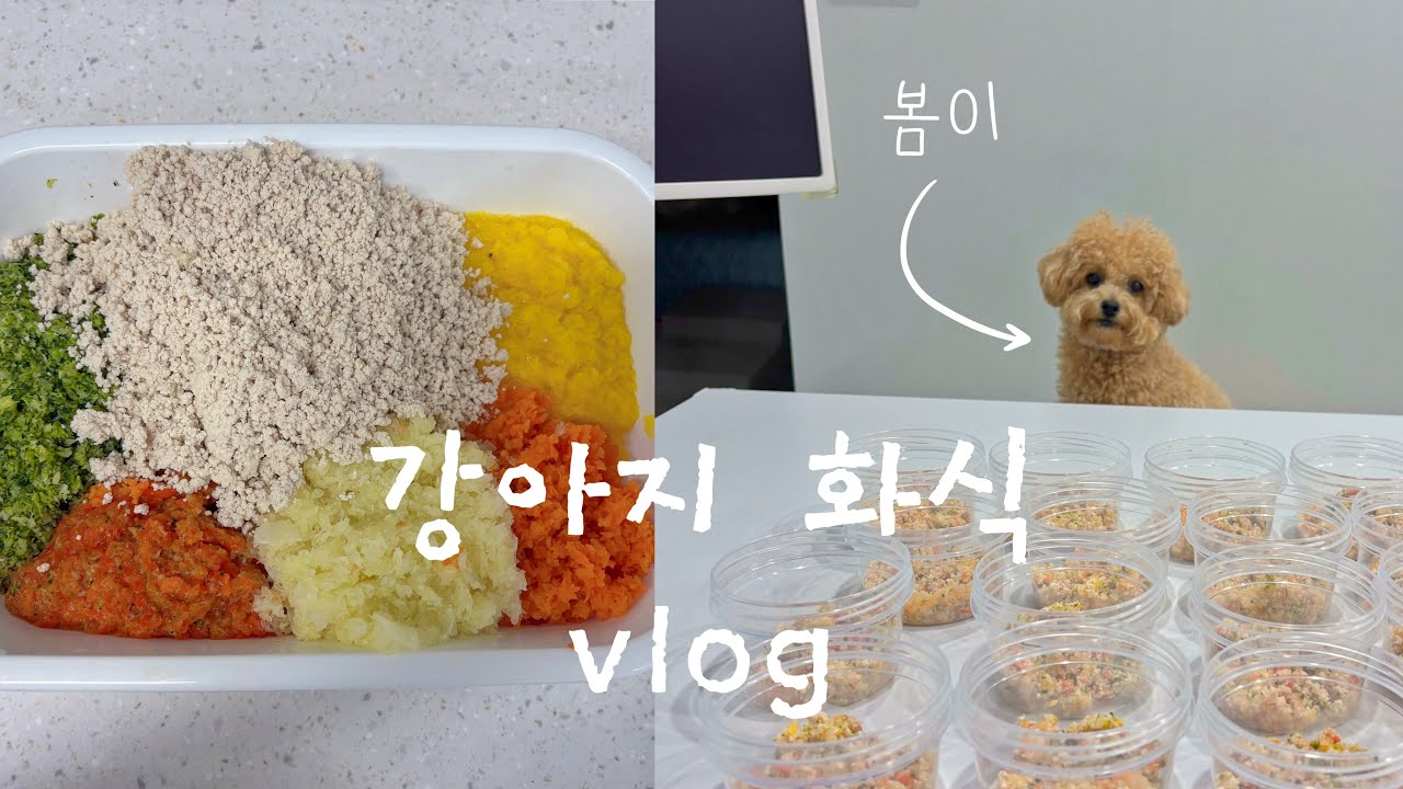 직장인이 주말에 몰아서 만드는 강아지 화식 레시피