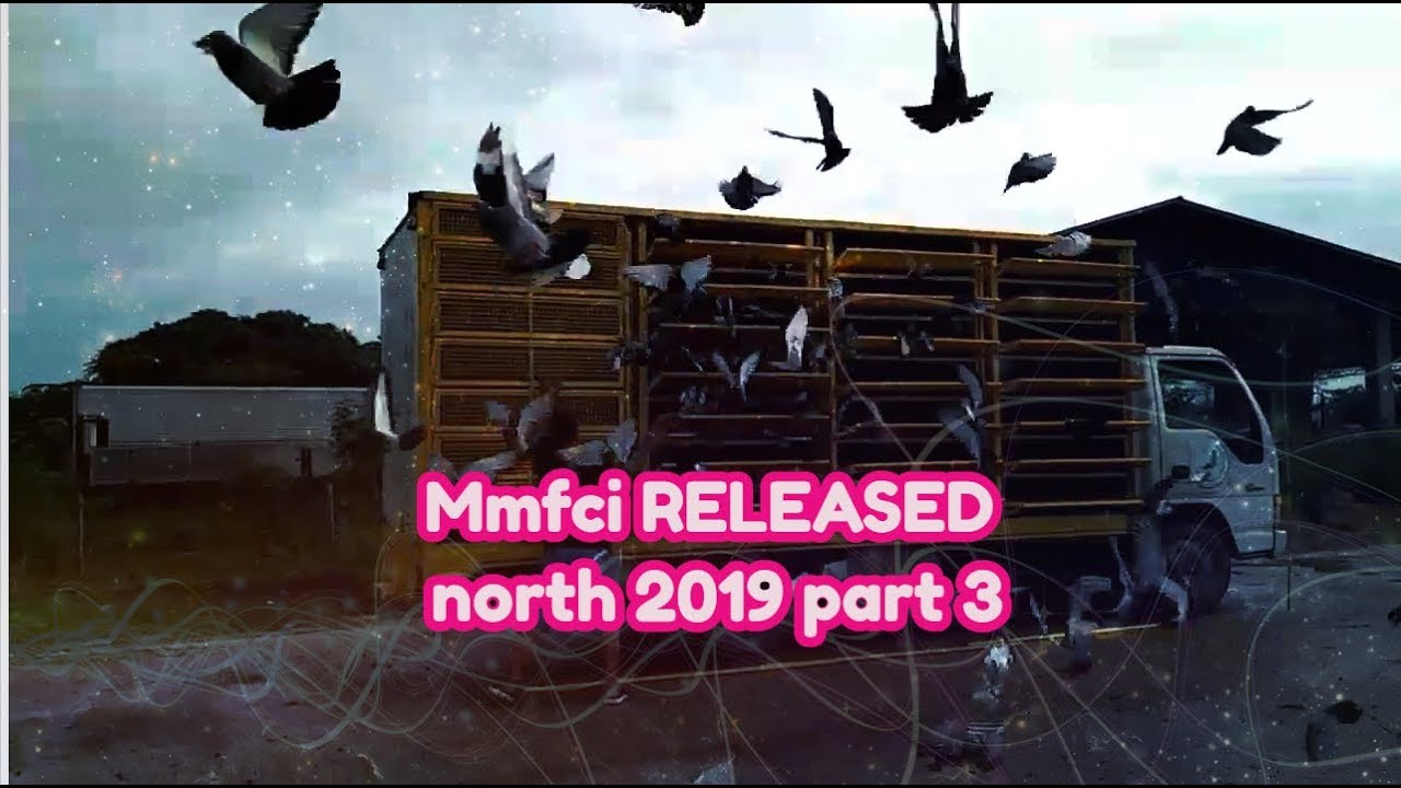 Mmfci RELEASED north 2019 part 3
