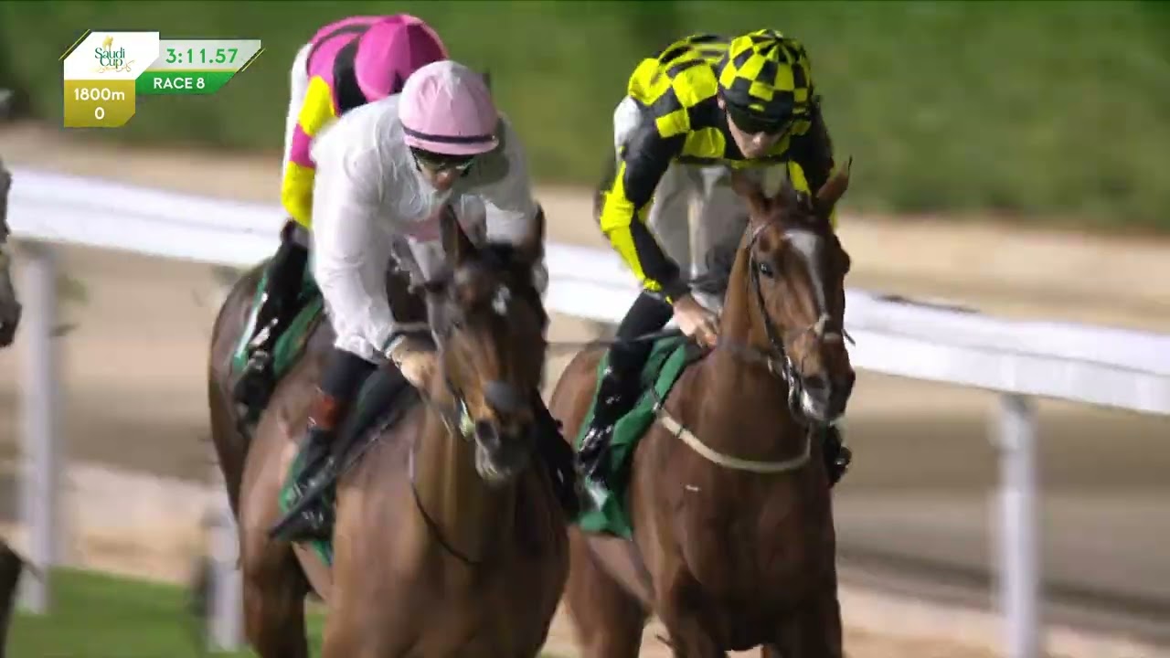 The Saudi Cup 2026 (Sat 14th Feb) Race 8 - RED SEA TURF