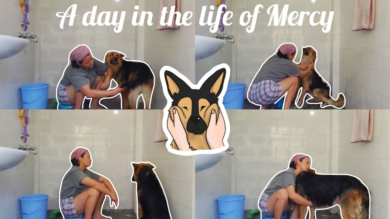 A Day In Mercy's Life | Mercy's First Bath After Coming Home |