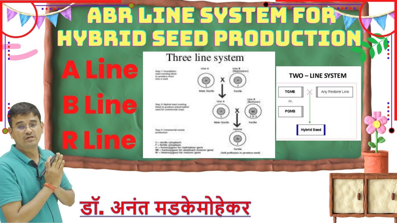 A B R line for hybrid seed production | Three line system | Two line system | one line system