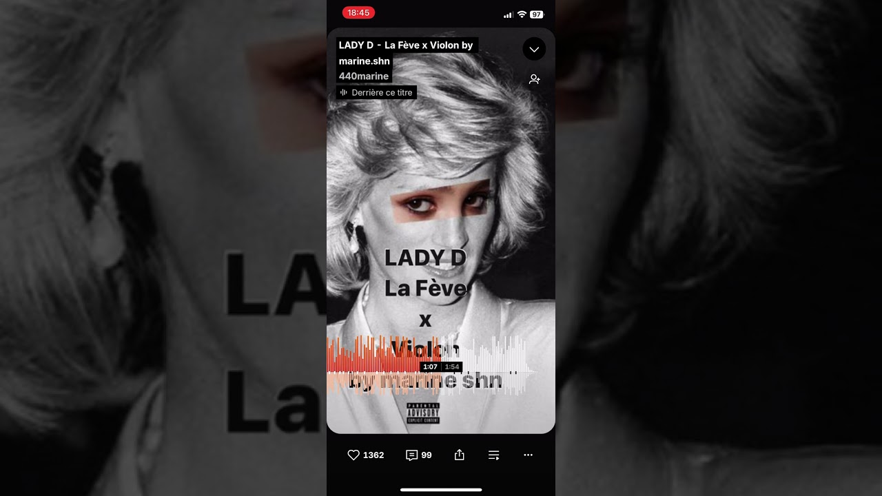 Lady D - La Fève x violon