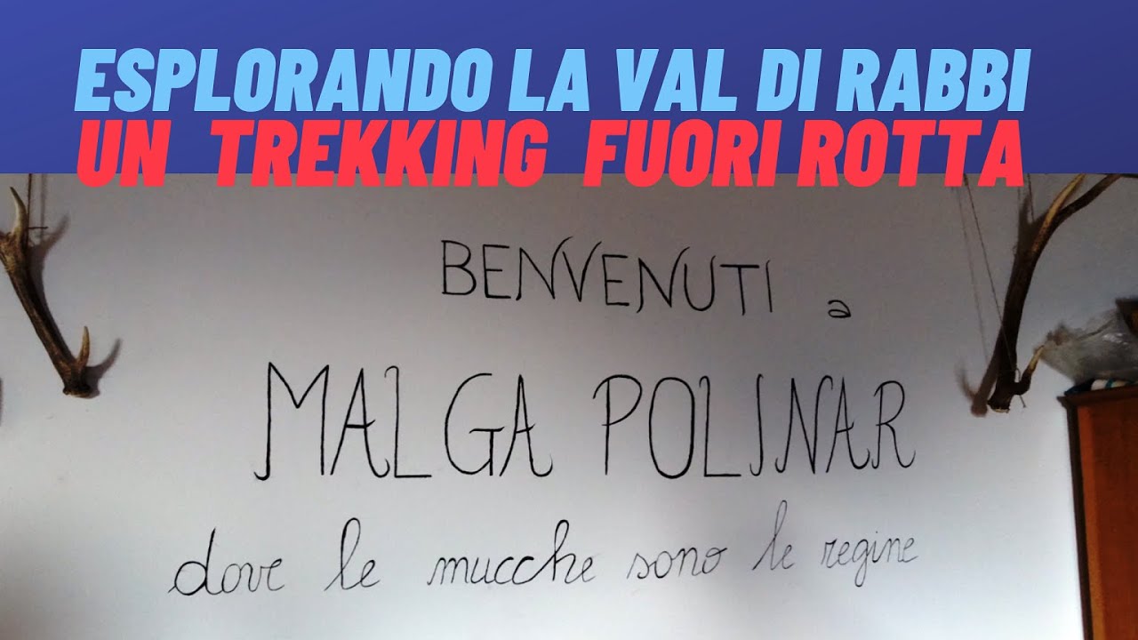 Trentino- Val di Rabbi - Trekking a Malga Polinar, dove puoi mangiare un Casolet spettacolare