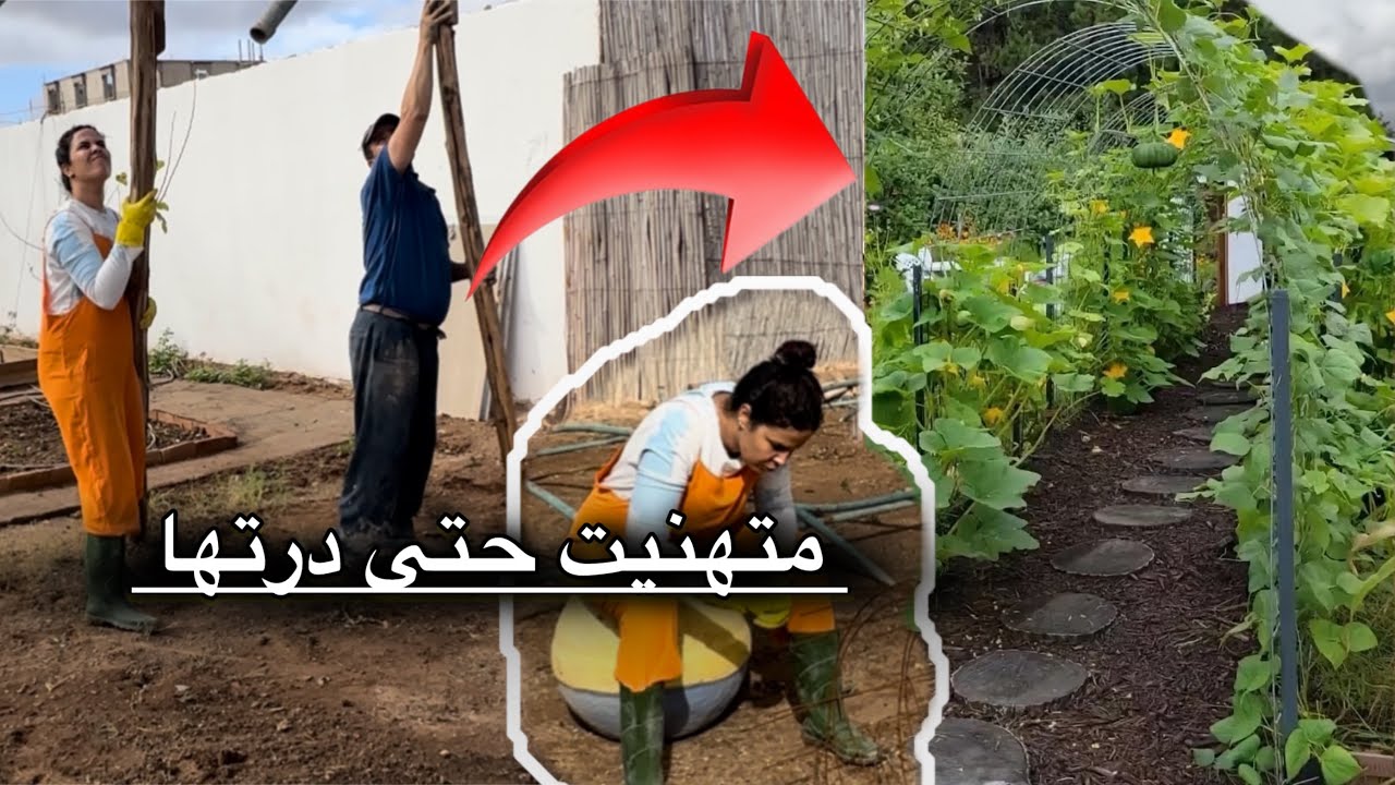 متحبسني غير المو_ت حلفت حتى نحقق حلمي واخا تقال عليا لحمل💪🏽