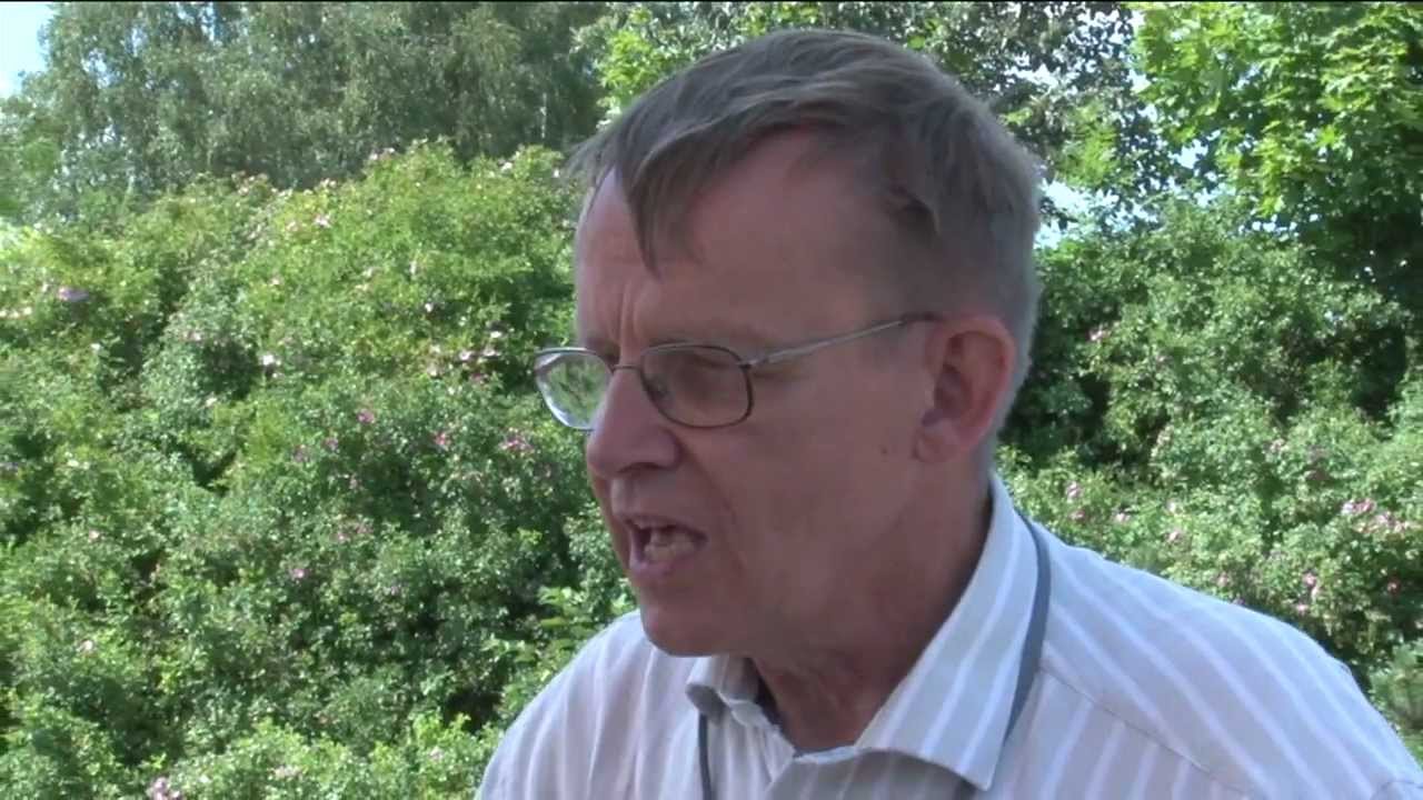 What is the Tällberg Forum?