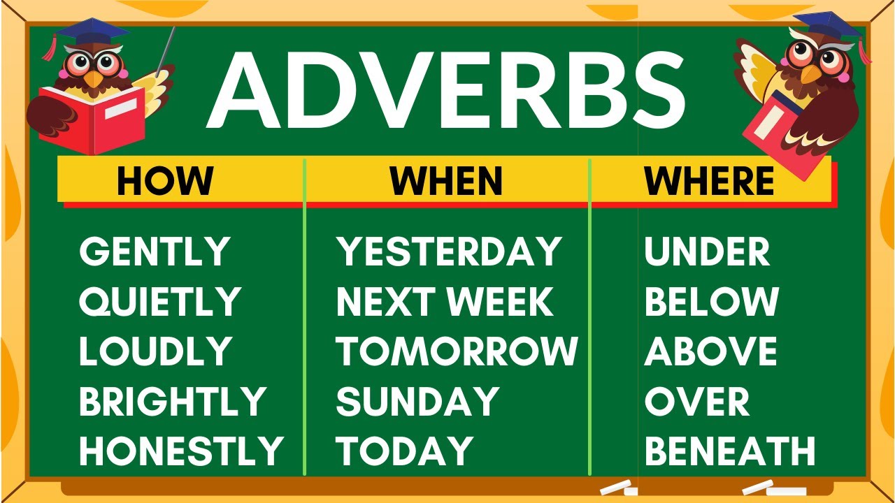 BASIC ENGLISH LESSON 24  / ADVERBS /  GRAMMAR & READING SKILLS /