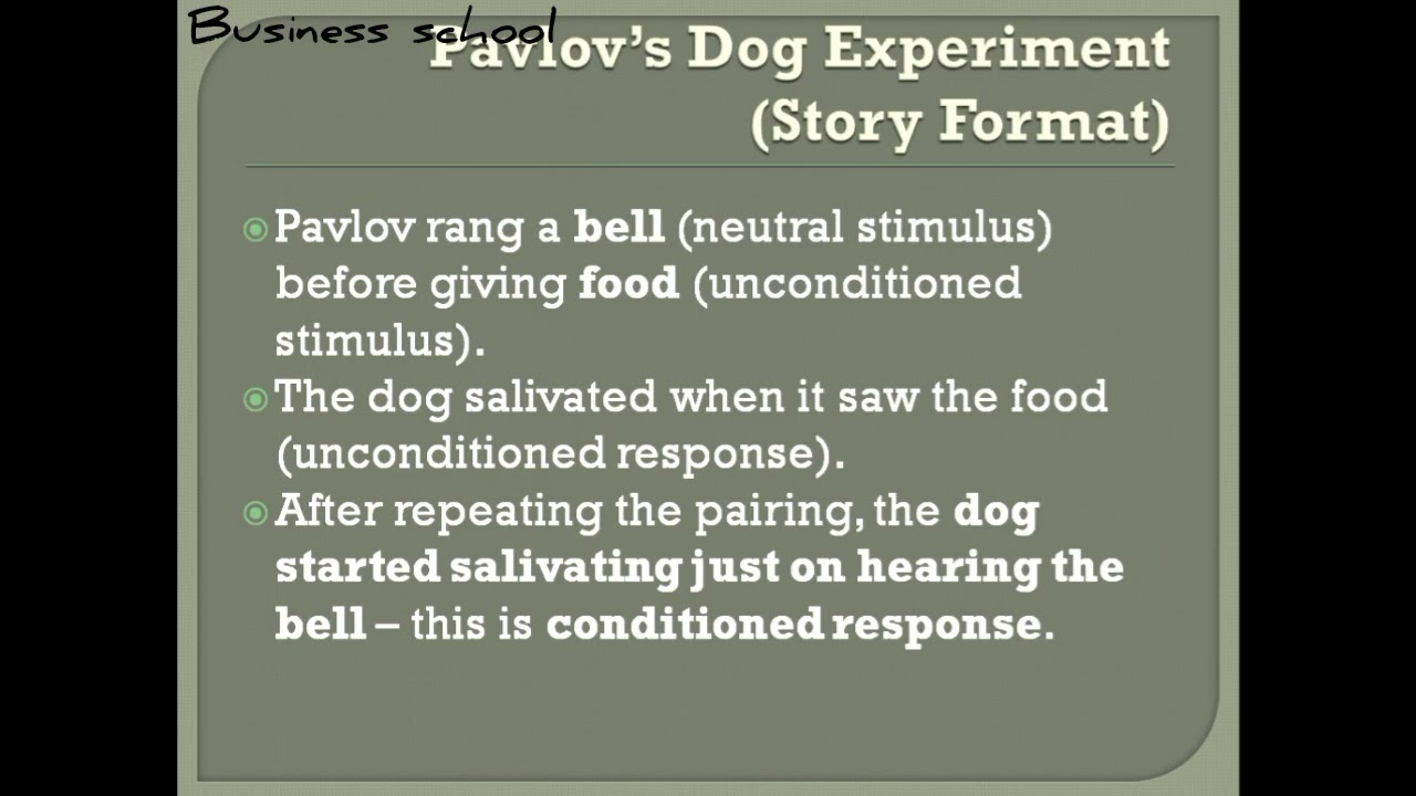 &ldquo;Classical Conditioning &ndash; Pavlov Theory Explained with HR Examples | OB & HRM explain in tamil &rdquo;