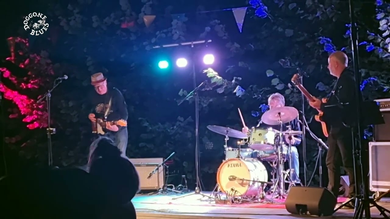 Vijverfestival jonmeyerjonband doggone blues   HD 1080p