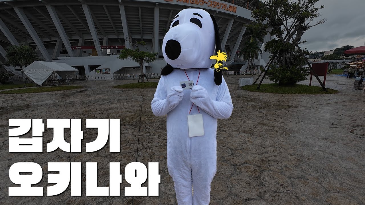 12월에 떠난 갑자기 오키나와 [VLOG]