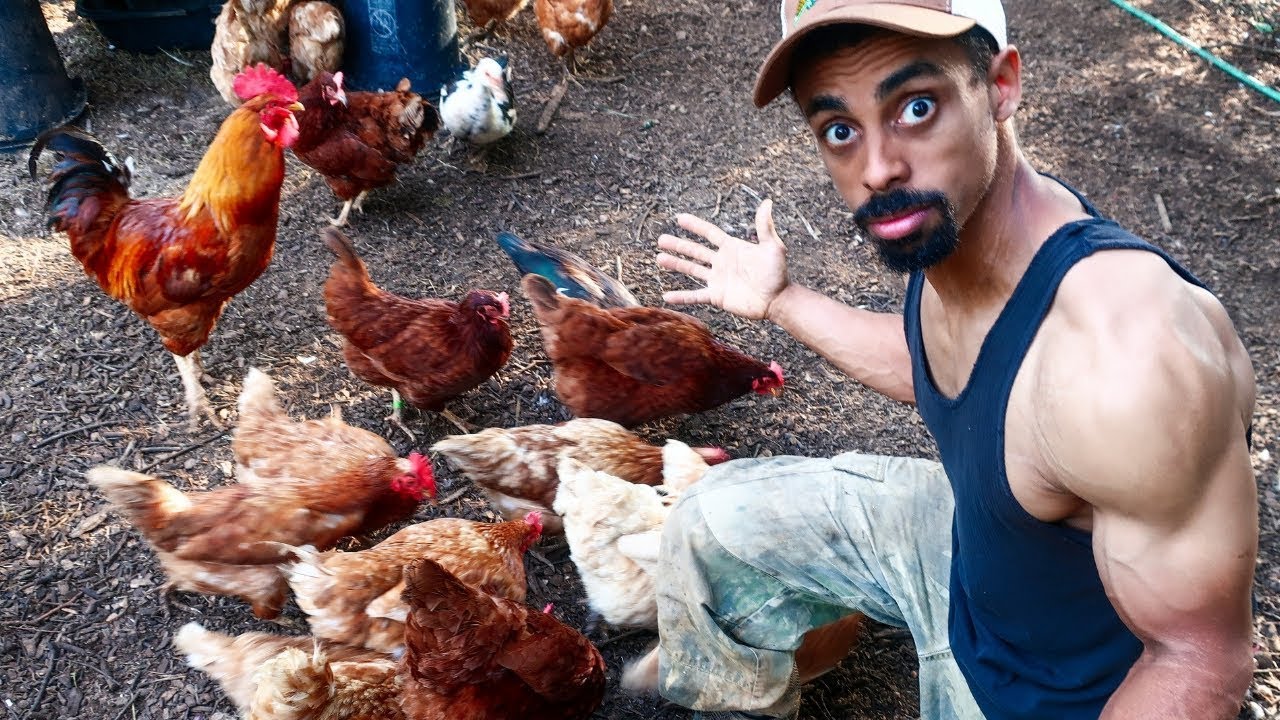 I was SHOCKED at what I found when I RETURNED to the FARM