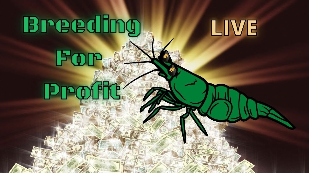 Breeding For Profit