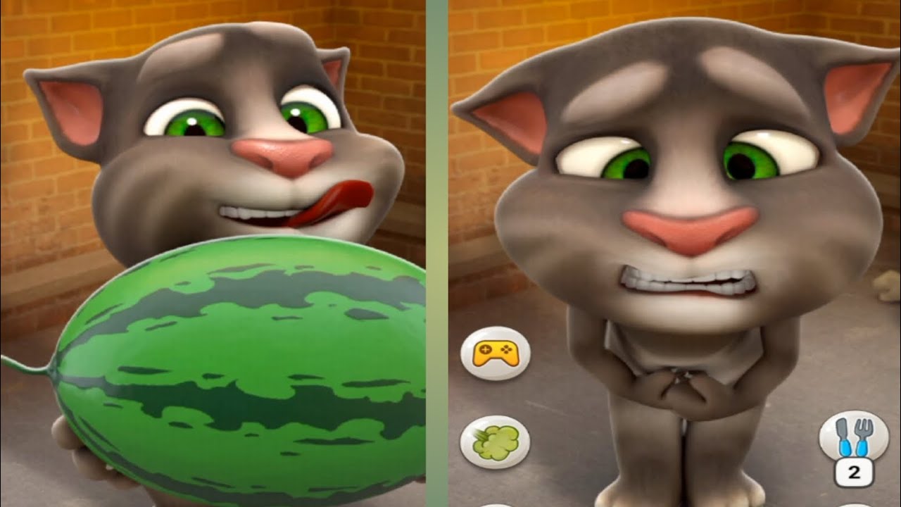 🔥🐱 Ginger Tries Something New Today! 😲🚀