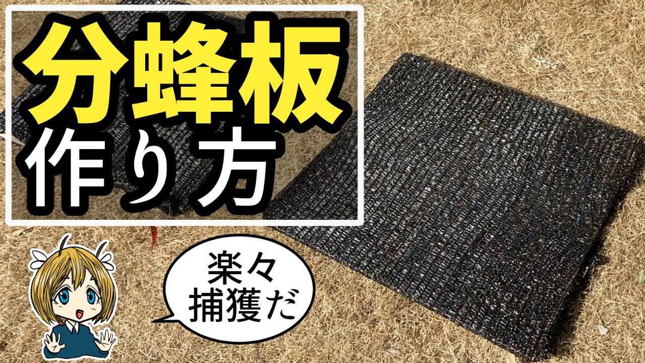 「分蜂板の作り方」分蜂群を楽に捕獲しよう【日本ミツバチの養蜂】
