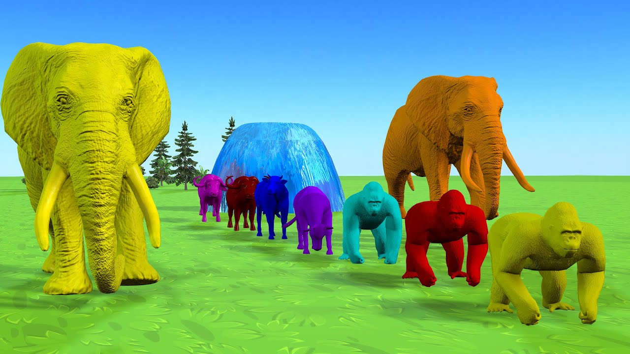 Long Slide Game With Elephant Gorilla Tiger 3d Animal Game Funny 3d Animals #9