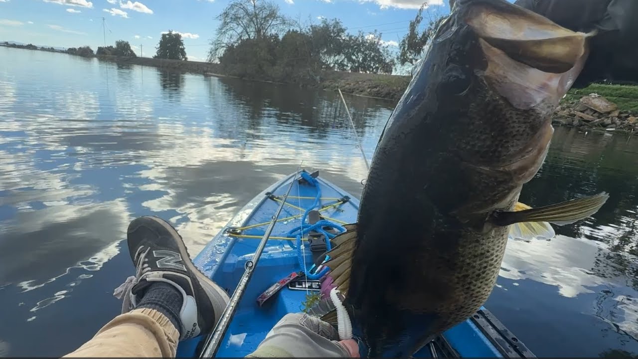 Does this count? | CA Delta