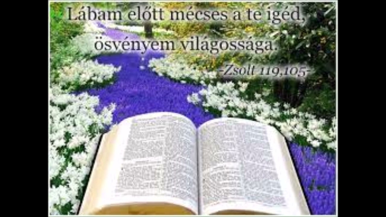 Te &eacute;ltetsz engem
