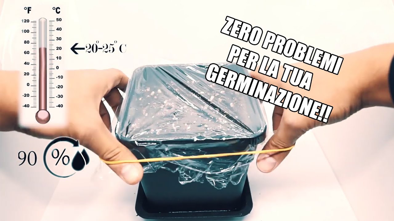 Sub ENG - Germinazione Indoor - Come ottenere il 100% delle NASCITE su tutti i SEMI!