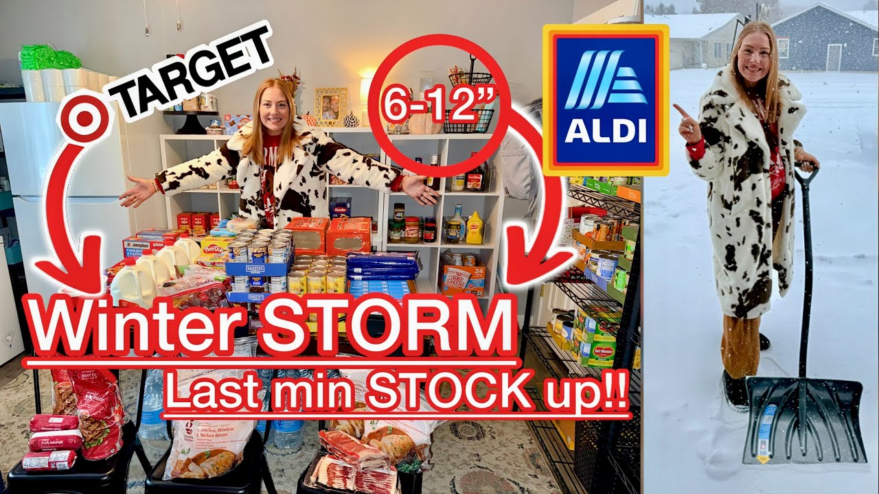 🌨️Зимний шторм | ПОСЛЕДНИЕ ЗАПАСЫ!! | БОЛЬШОЙ семейный переезд за продуктами