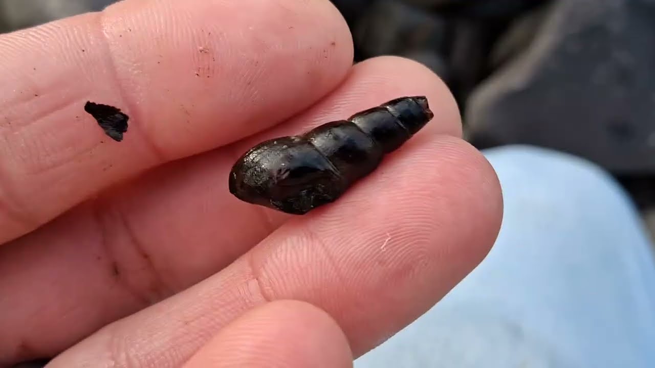 Best day on the creek ever! A little rockhounding and a little lunch.