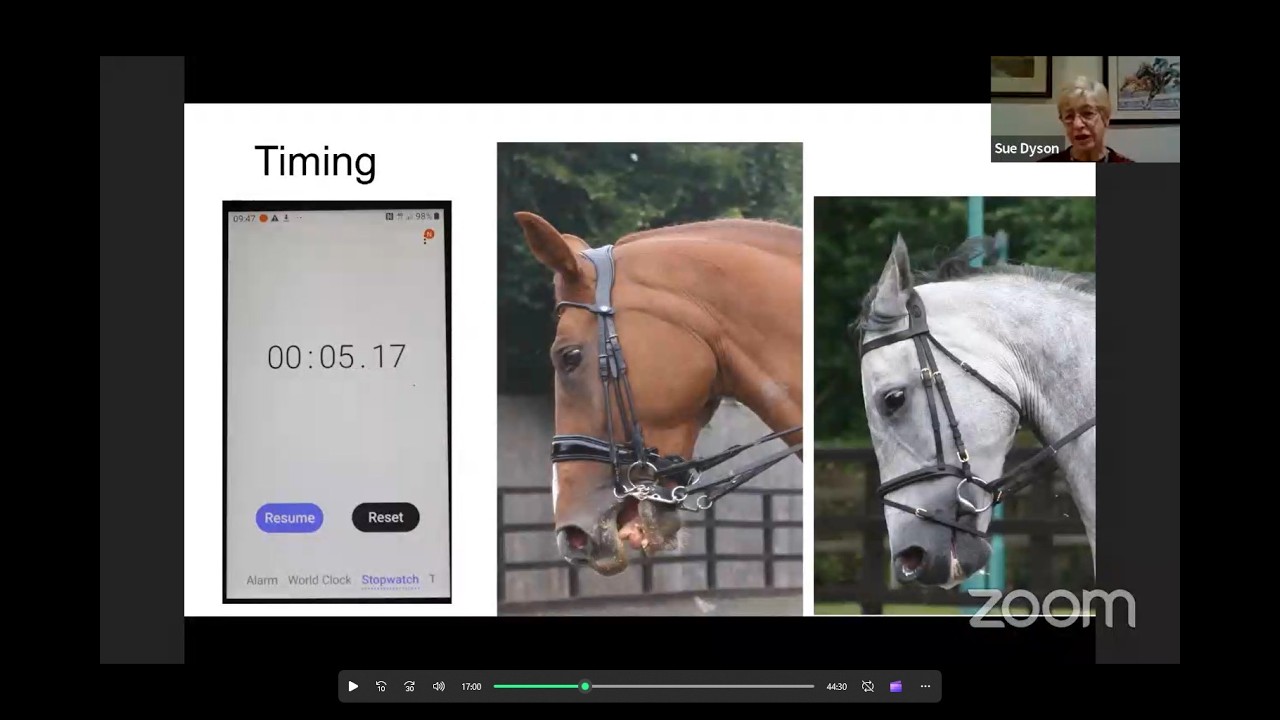 Live with Dr. Sue Dyson: Apply the Ridden Horse Checklist & Other  Resources to Evaluate Soundness