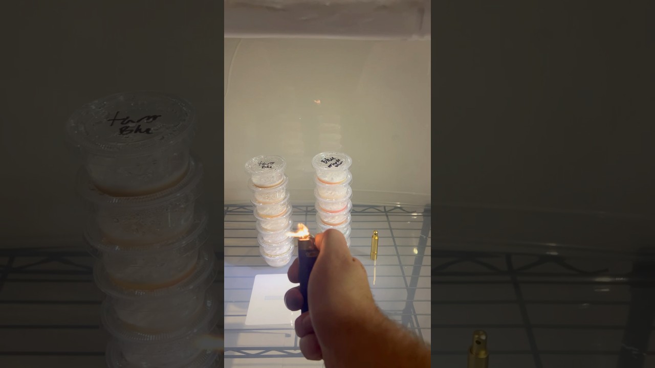 DIY Flow Hood for Mycology: Build Your Sterile Workspace! #shortsfeed