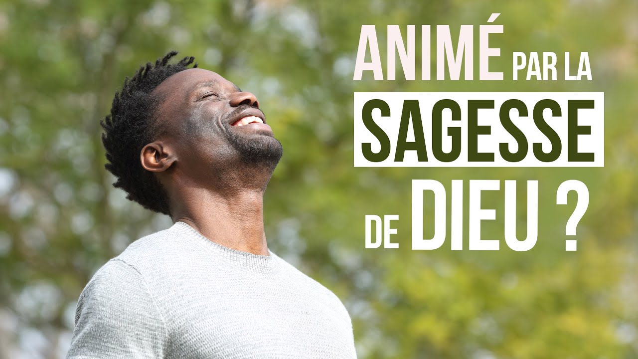5 SIGNES QUE QUELQU’UN EST ANIMÉ PAR LA SAGESSE DE DIEU - Luc Dumont