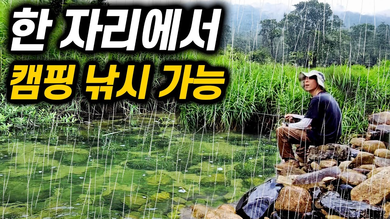 혼자만 알고 싶은 단양의 숨겨진 계곡, 낚시 천국이었습니다